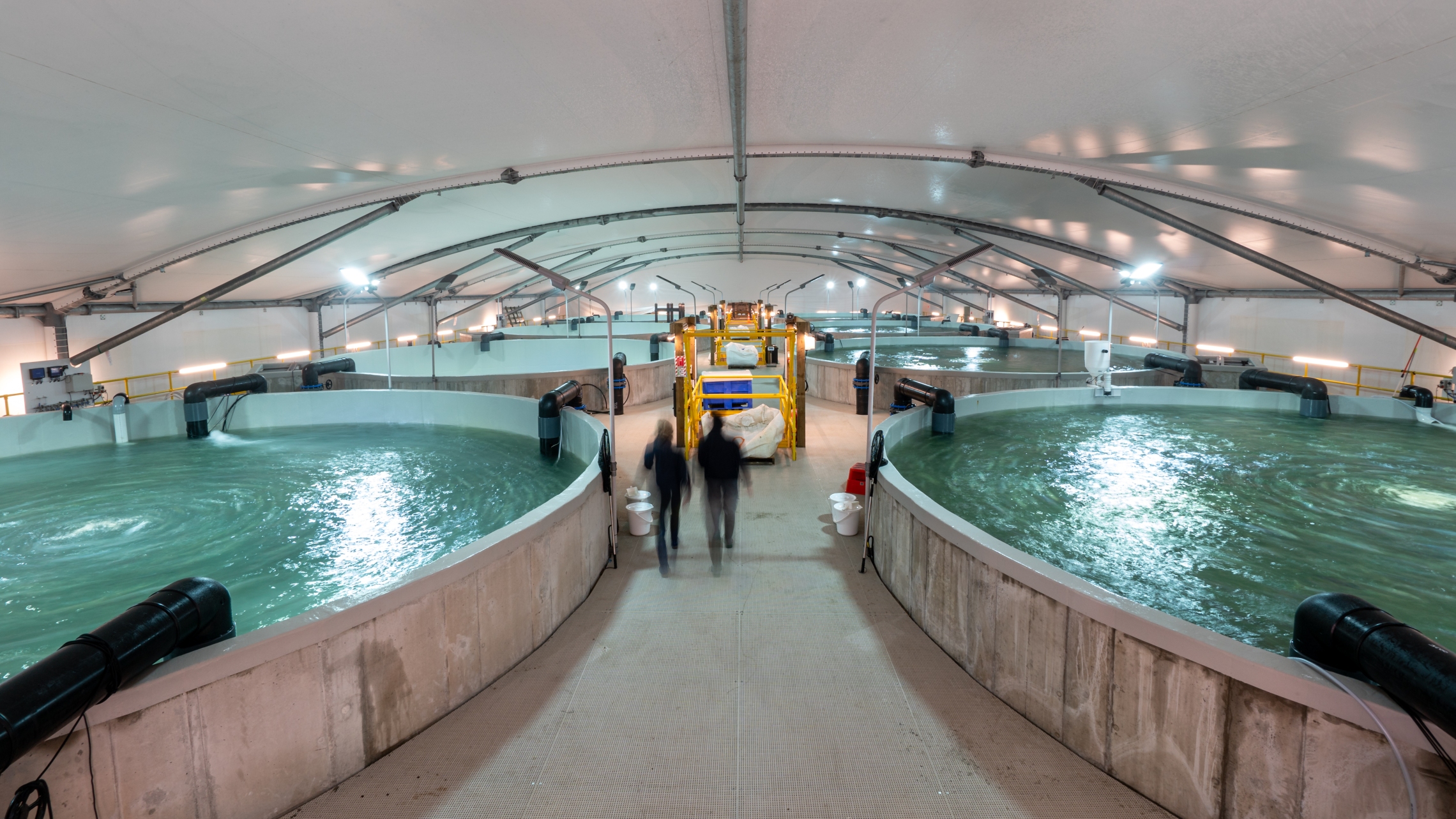 Recirculating aquaculture tanks at the Northland Aquaculture Centre.