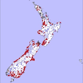 Geotria australis - distribution known