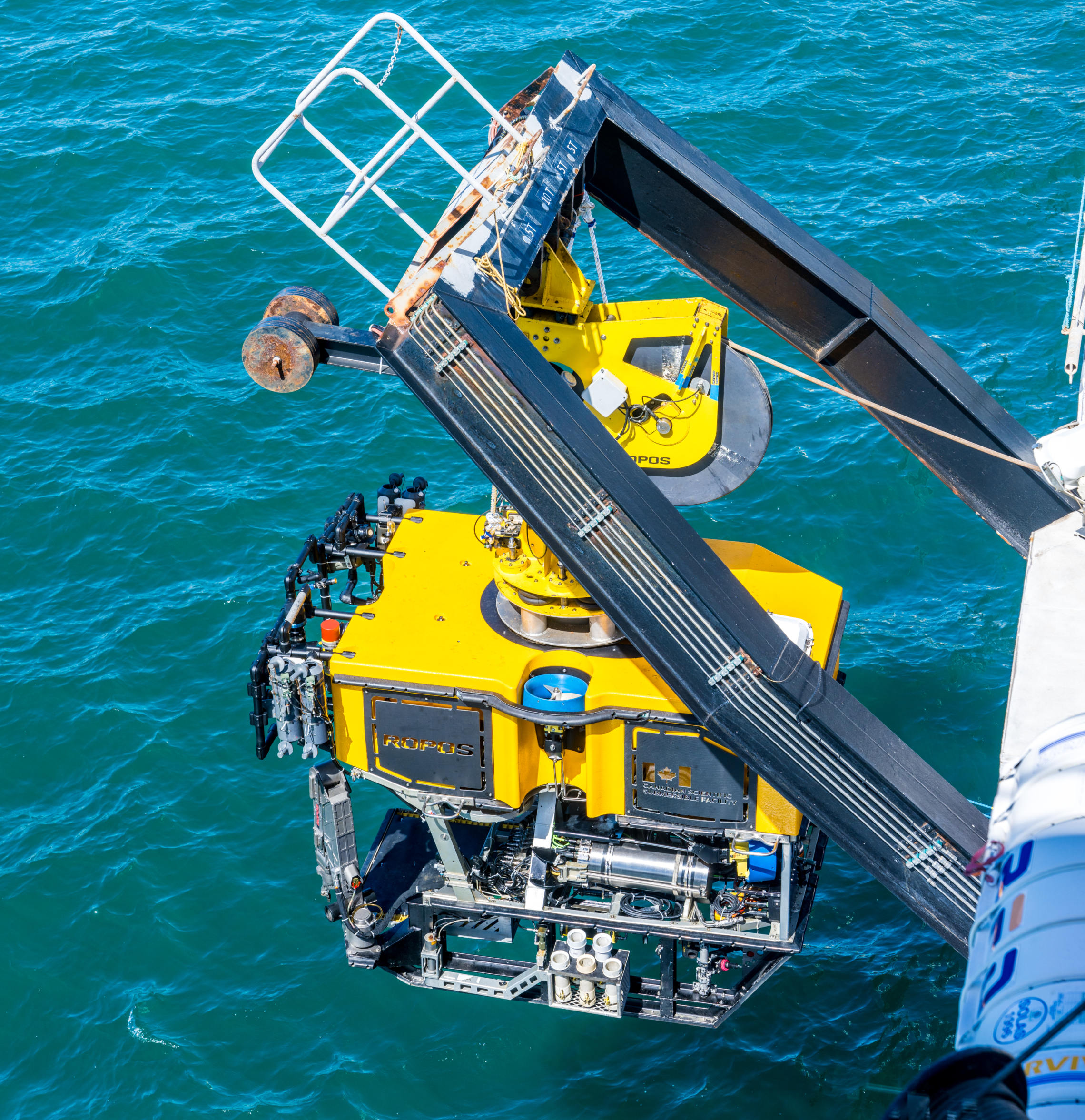 Testing ROPOS ROV in Wellington Harbour