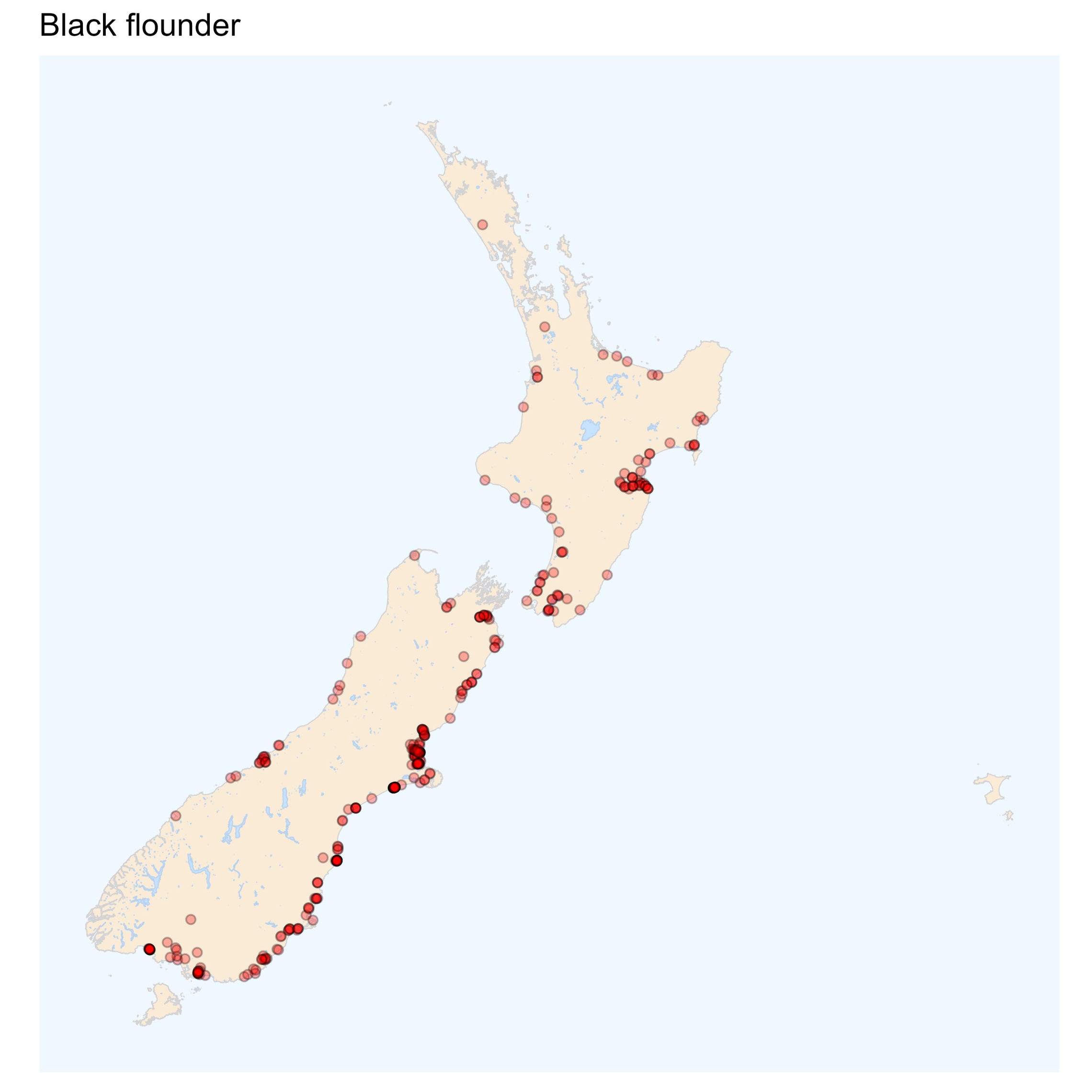 Black flounder - distribution map [2024]