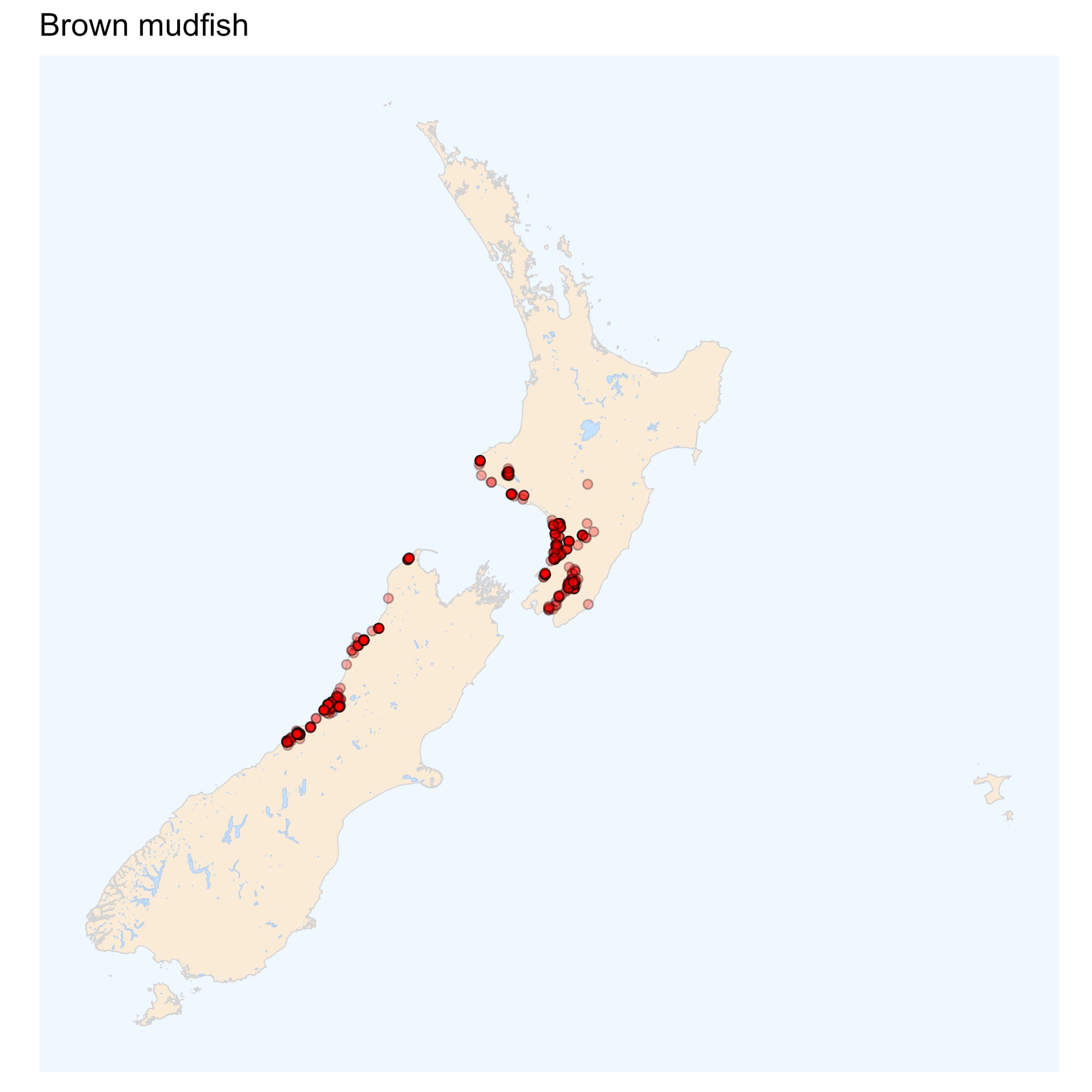 Brown mudfish - distribution map [2024]