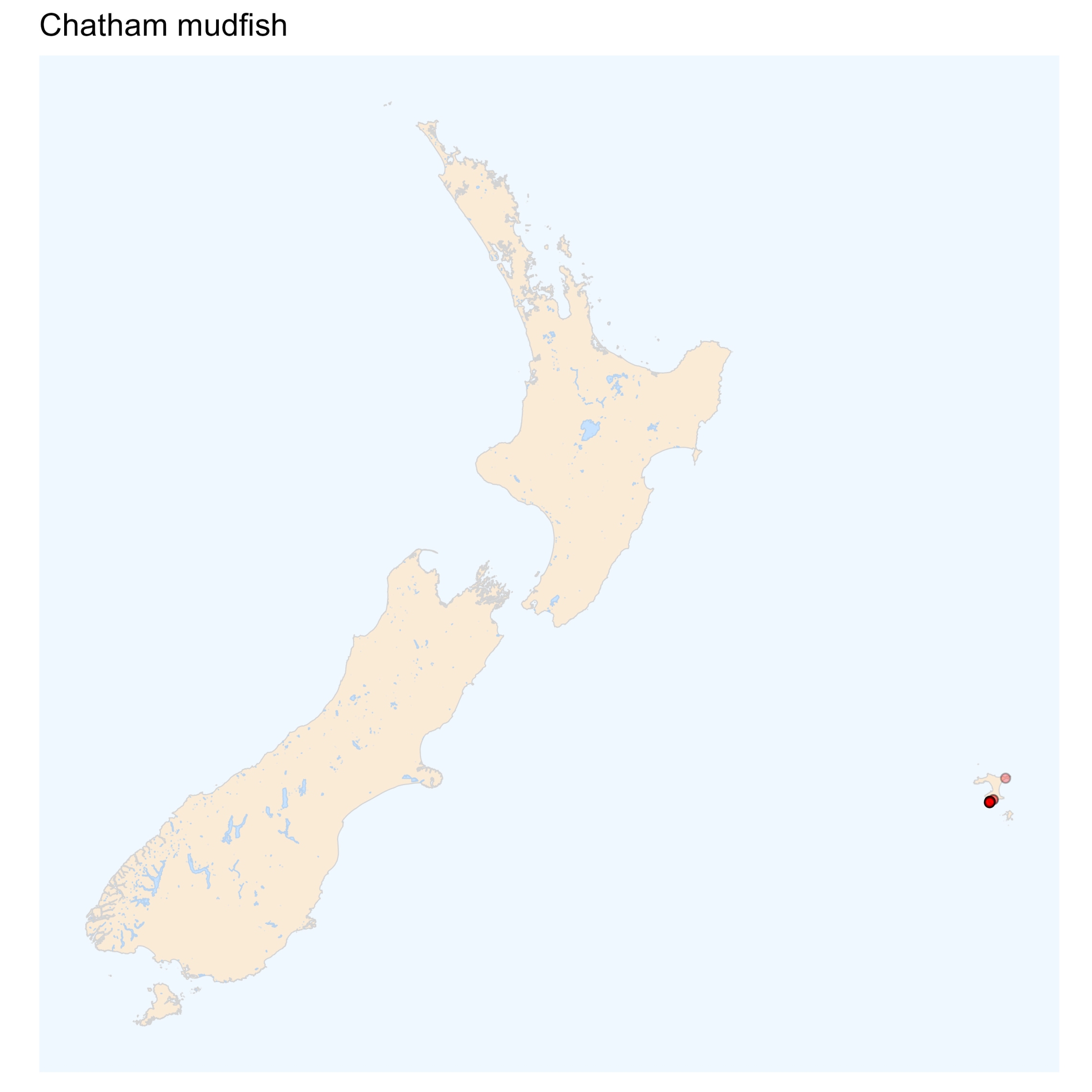 Chatham mudfish - distribution map [2024]