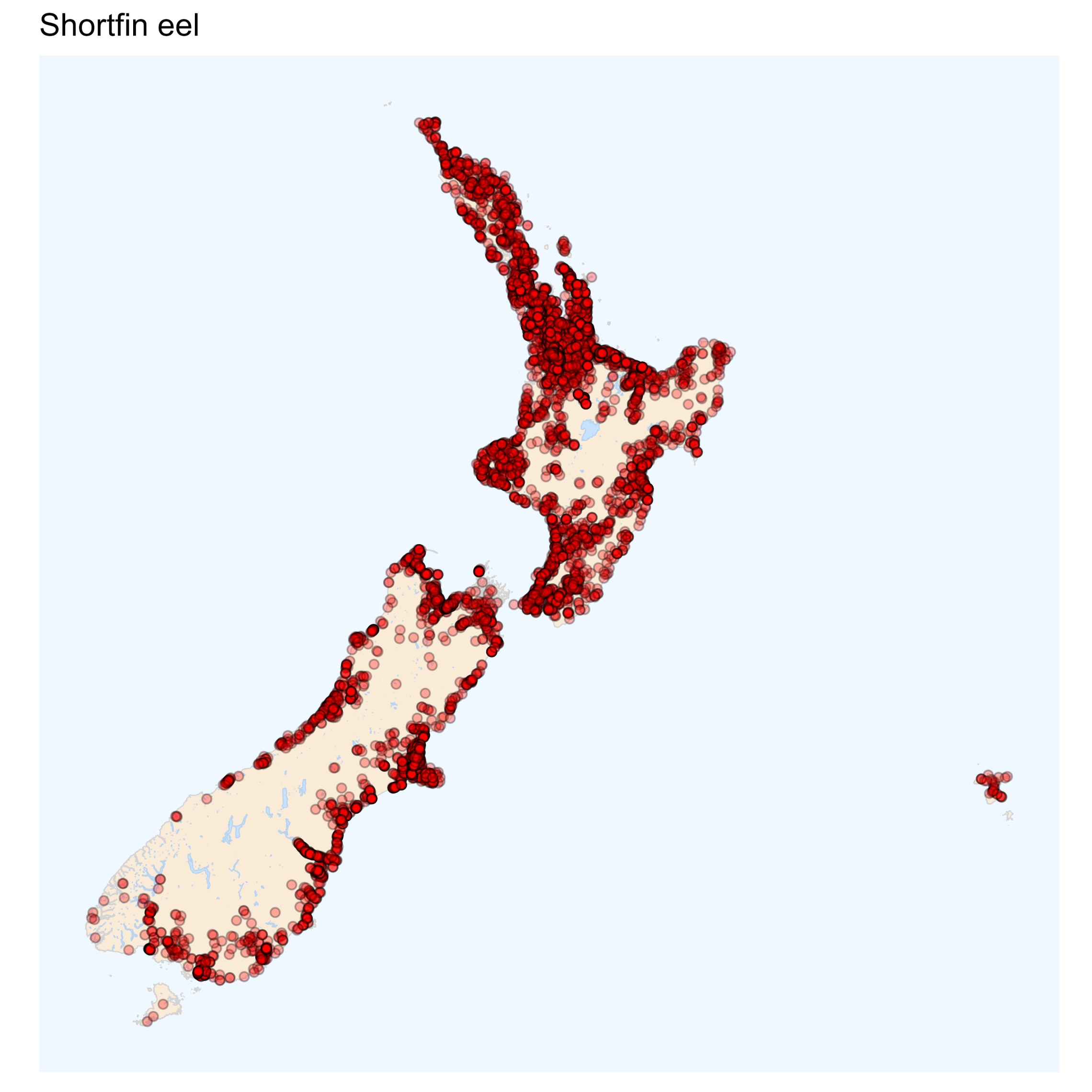 Shortfin eel distribution map [2024]