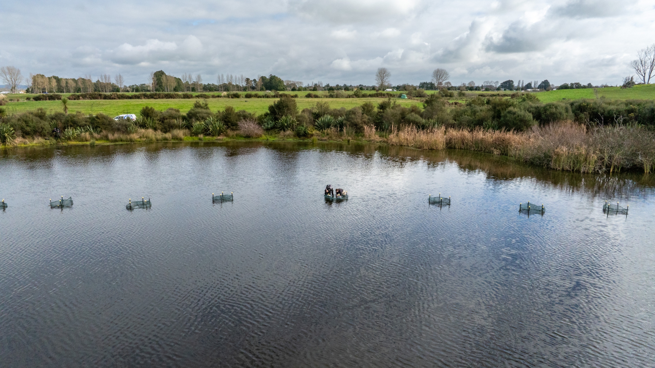 2024_06_ROTO TURF_mackay_LOW_DJI_20240612122130_0105_D.jpg