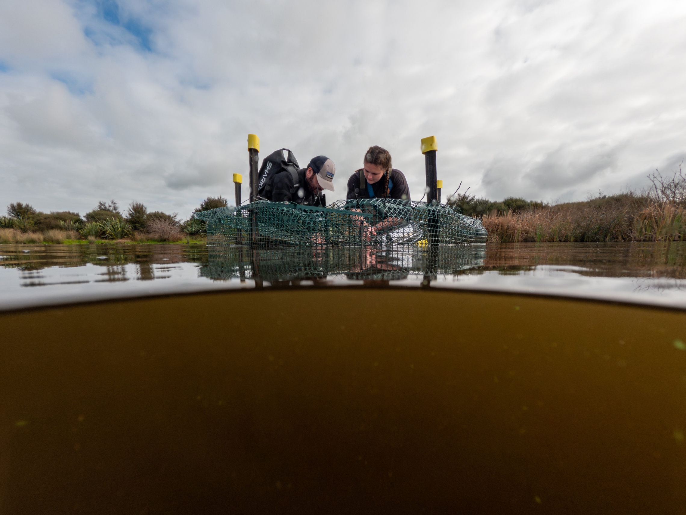 2024_06_ROTO TURF_mackay_LOW_GOPR2870-Enhanced-NR.jpg