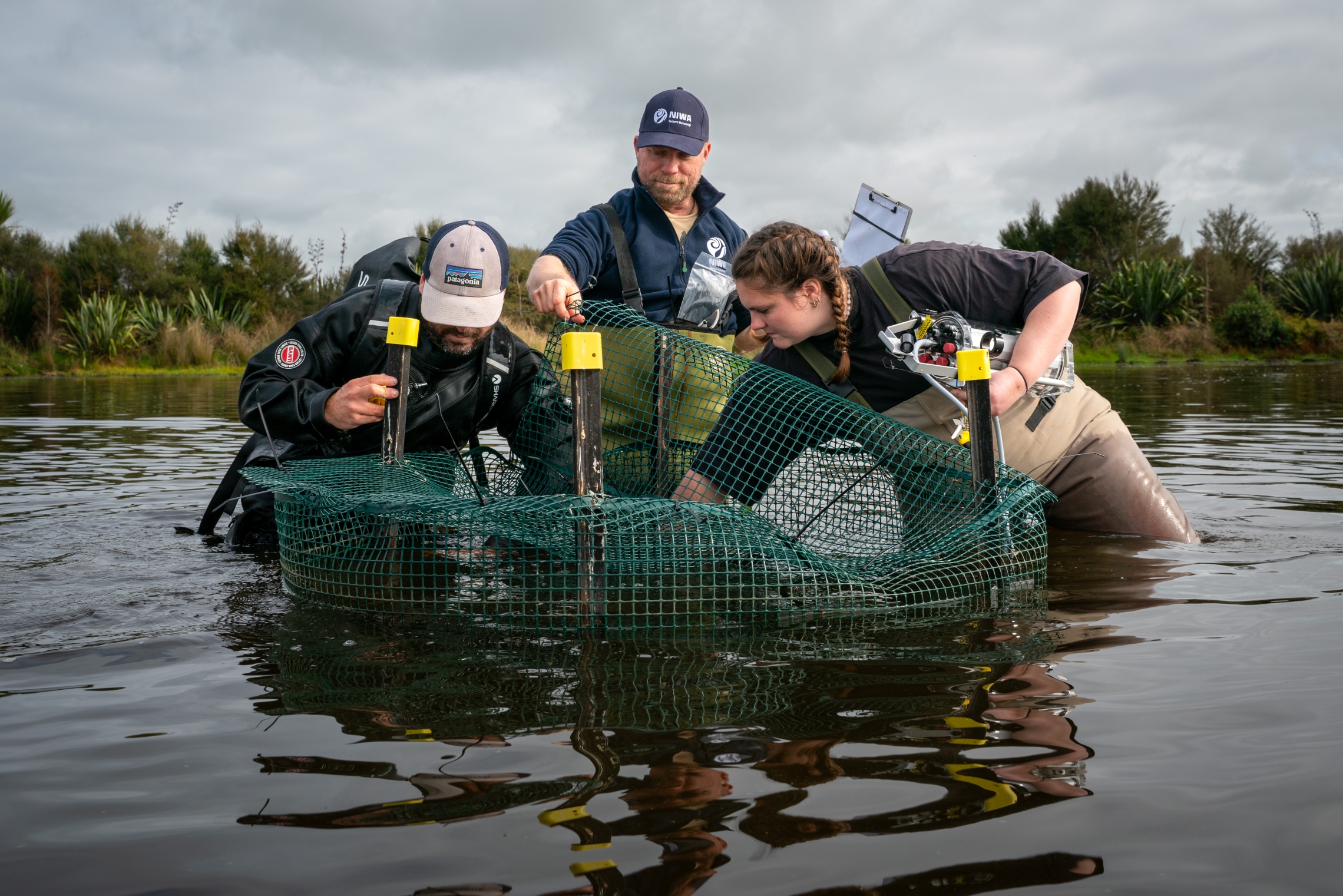 2024_06_ROTO TURF_mackay_LOW__DSC9520
