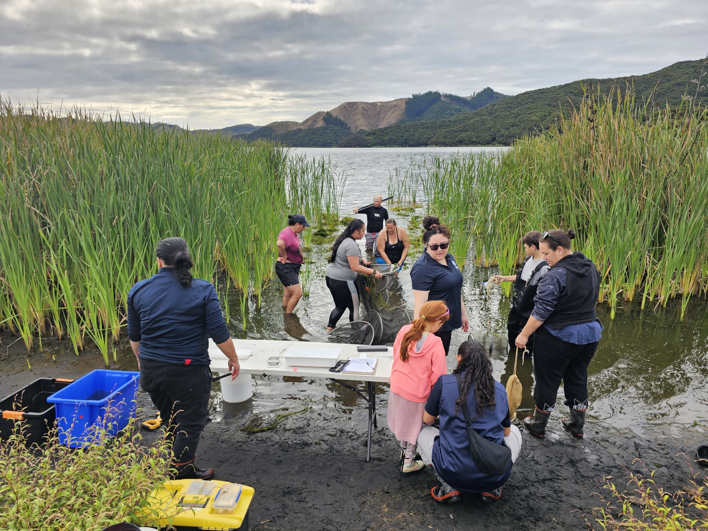 Bringing the nets in and setting up to process the tuna catch at the April wanaanga. 