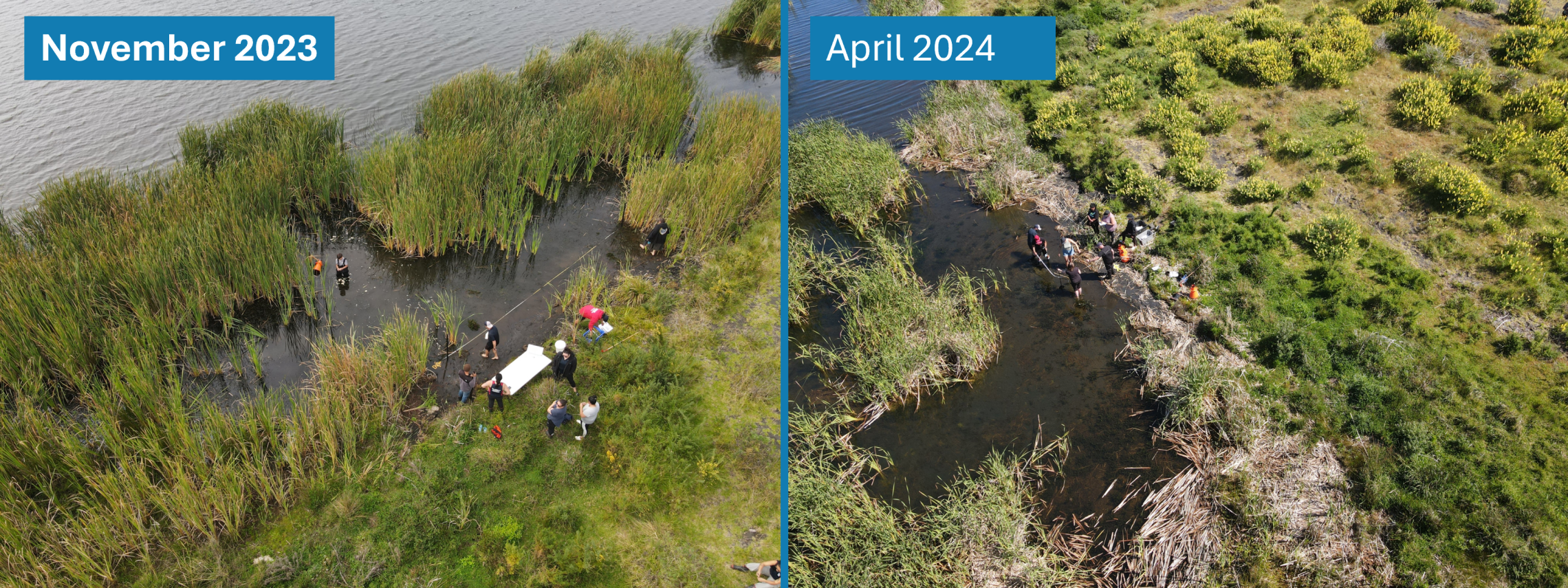 LakeTahaaroa_2023vs2024.png