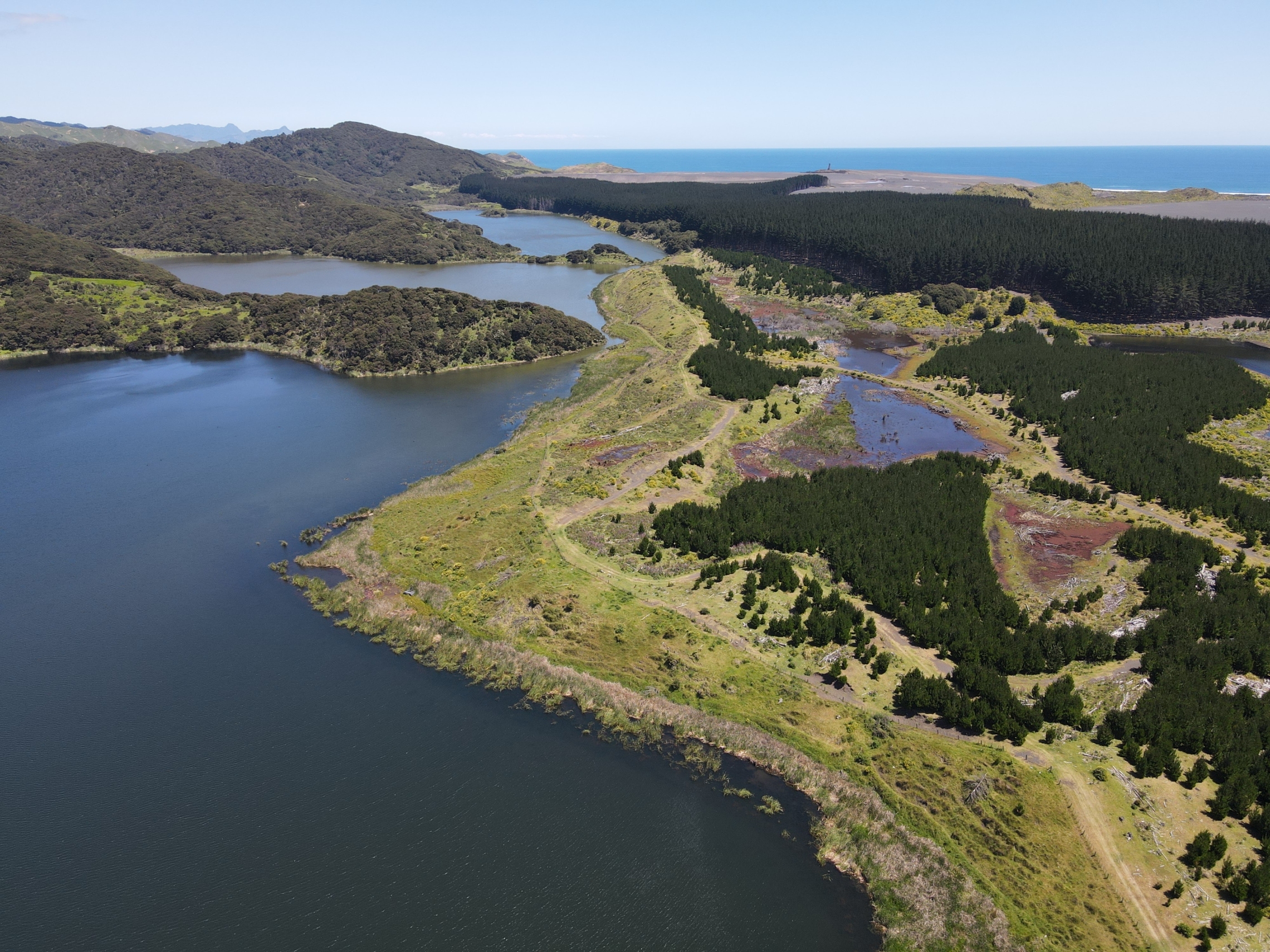 Lake Tahaaroa, Lake Numiti, and Lake Rotoroa