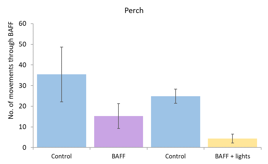 Number of movements through control trials and treatments (BAFF with and without lights) for perch. 