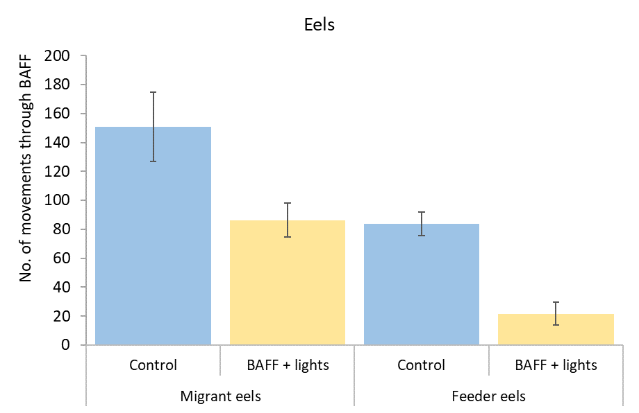 Number of movements through control trials and treatments (BAFF with and without lights) for eels. 