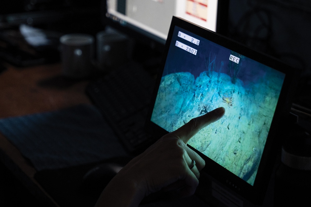 DTIS monitor during a tow.