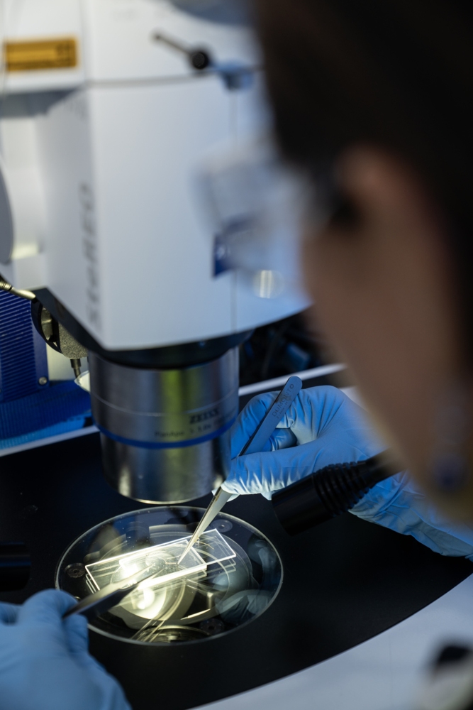 Erika Gress, Ocean Census Taxonomist with a potential unknown species of black coral.