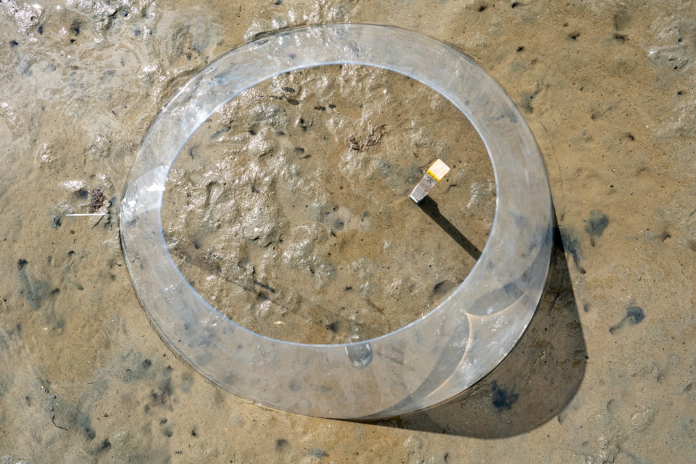 Open Top Chamber (OTC)