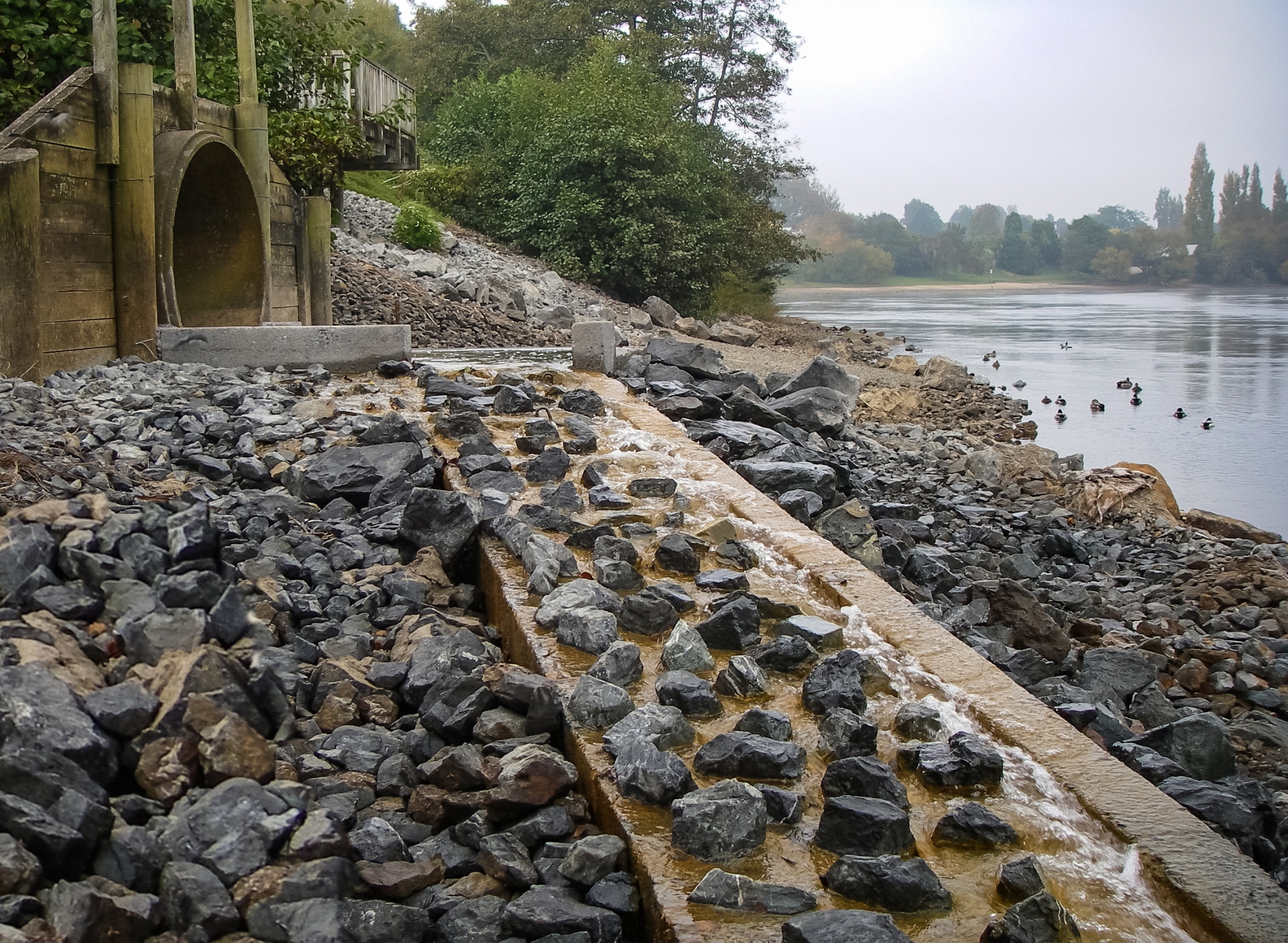 FISH_PASSAGE_bankwood_stream_fish_pass_Donny ramp and baffles_credit_Jacques_Boubée_NIWA.jpg