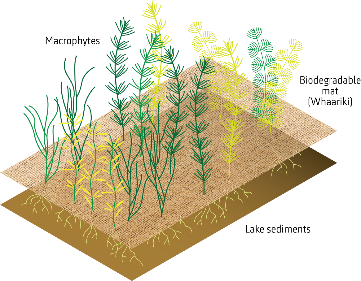 RotoTurf graphic.png