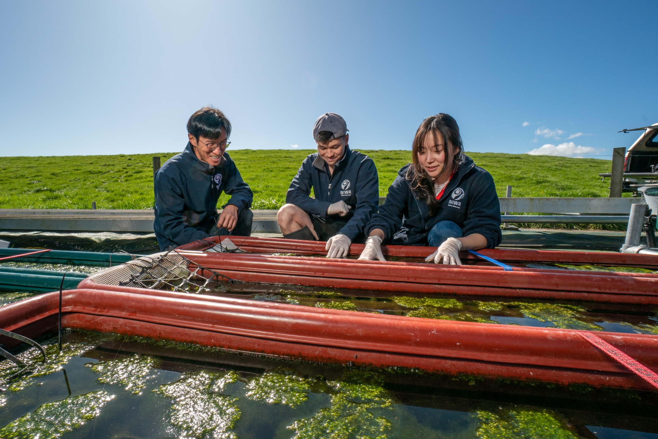 2022_08_ALGAE FANS_mackay_HI__DSC9422.jpg