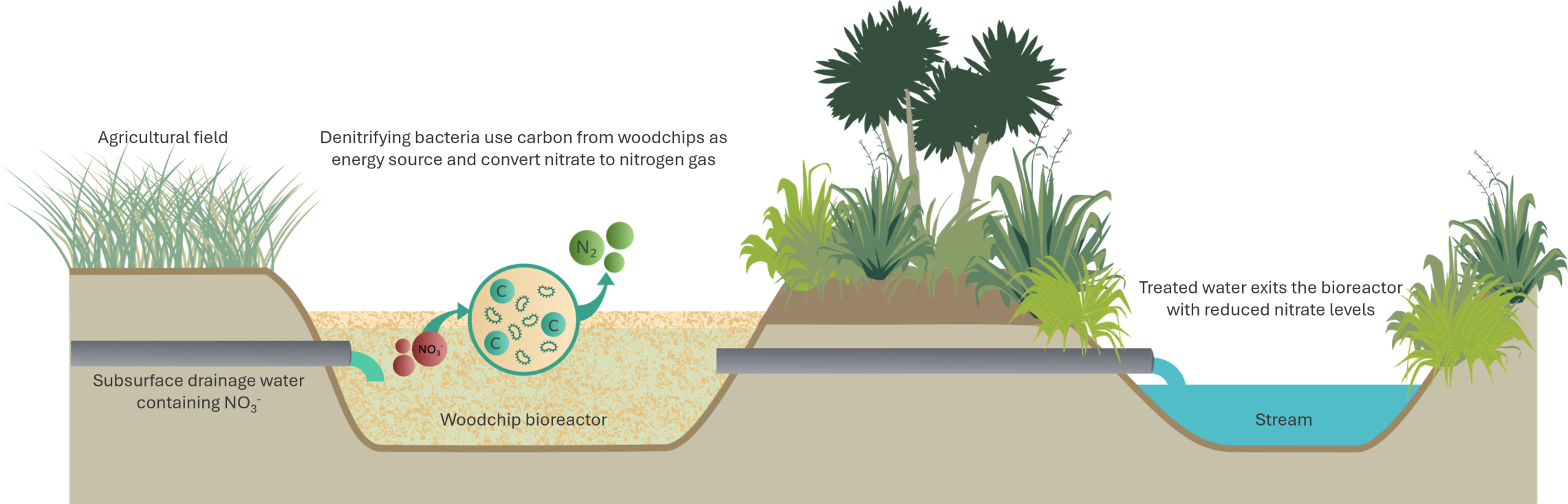 woodchip_bioreactor_figure-web.png