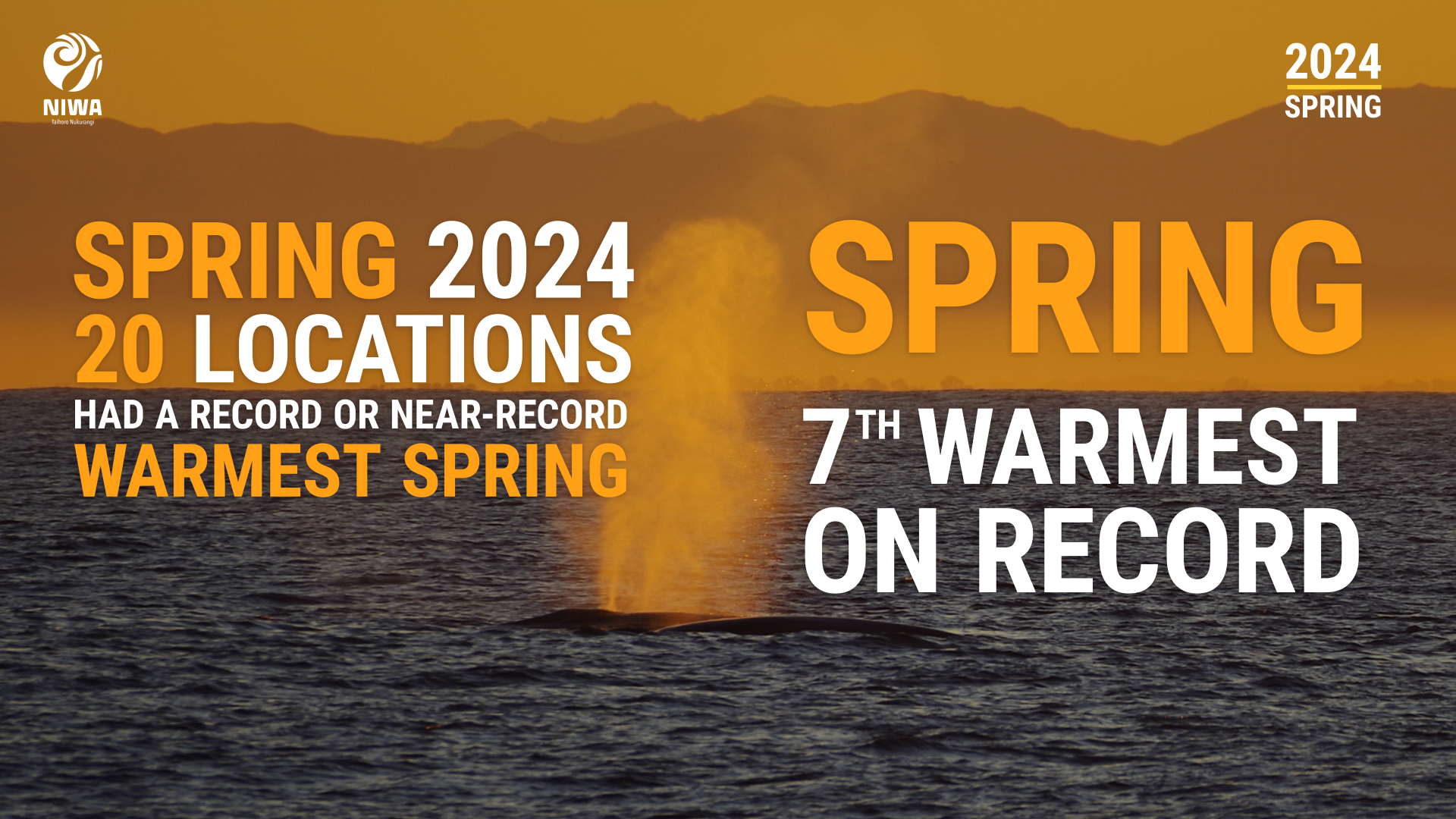 2024_12_SPRING CLIMATE SUMMARY_RECORDS + WARM_3