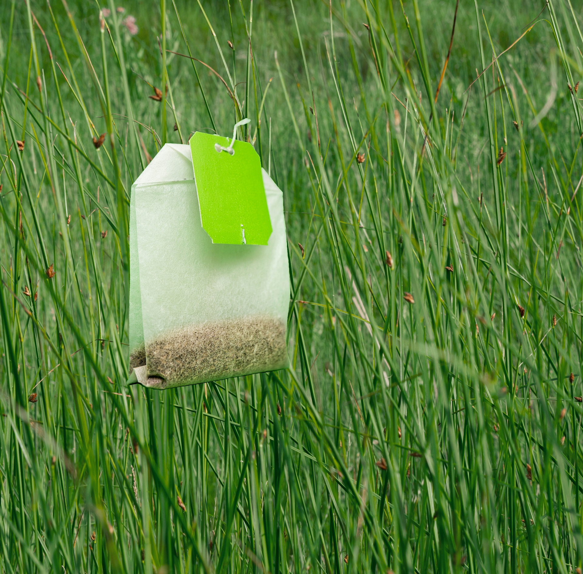 Wetland-teabag-NIWA