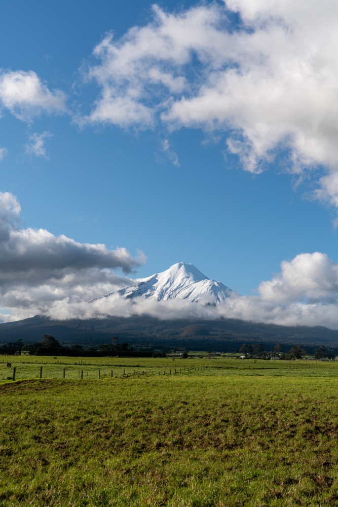 2022_10_CONSTRUCTED WETLAND_mackay_HI__DSC0024