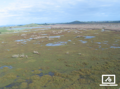 Shallow-fw-tool-page-type-icon