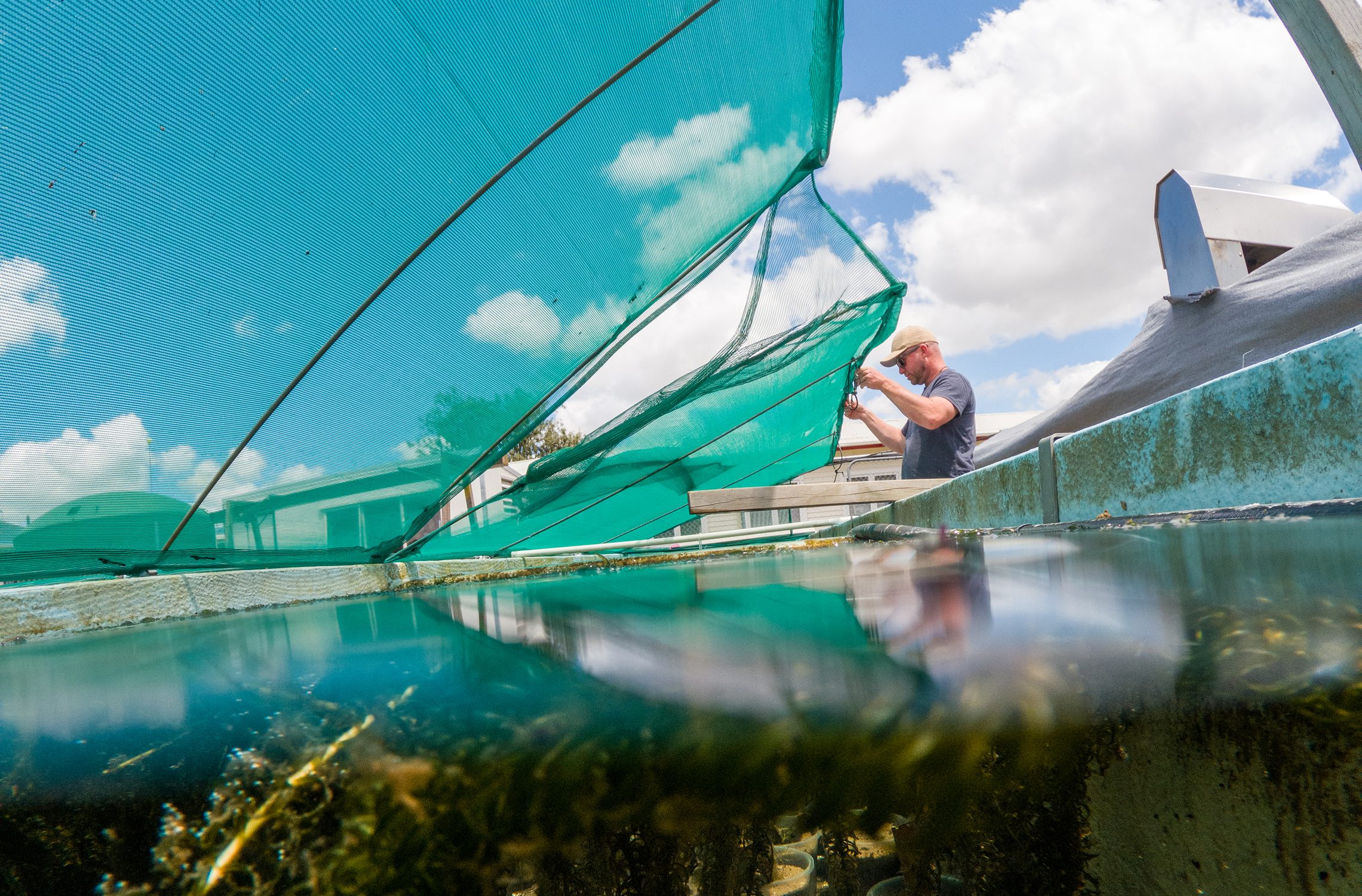 Ben in the CT room at Ruakura 