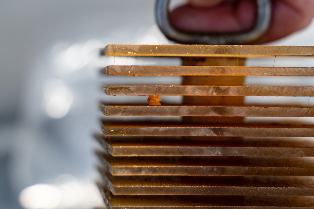 Filter traps are being used to study the invasive gold clam (Corbicula fluminea) in the Waikato River.