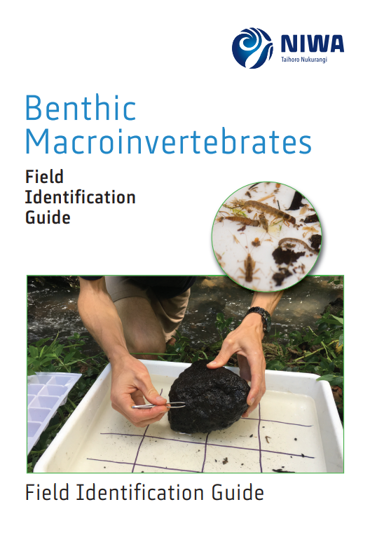 Benthic macroinvertebrates guide