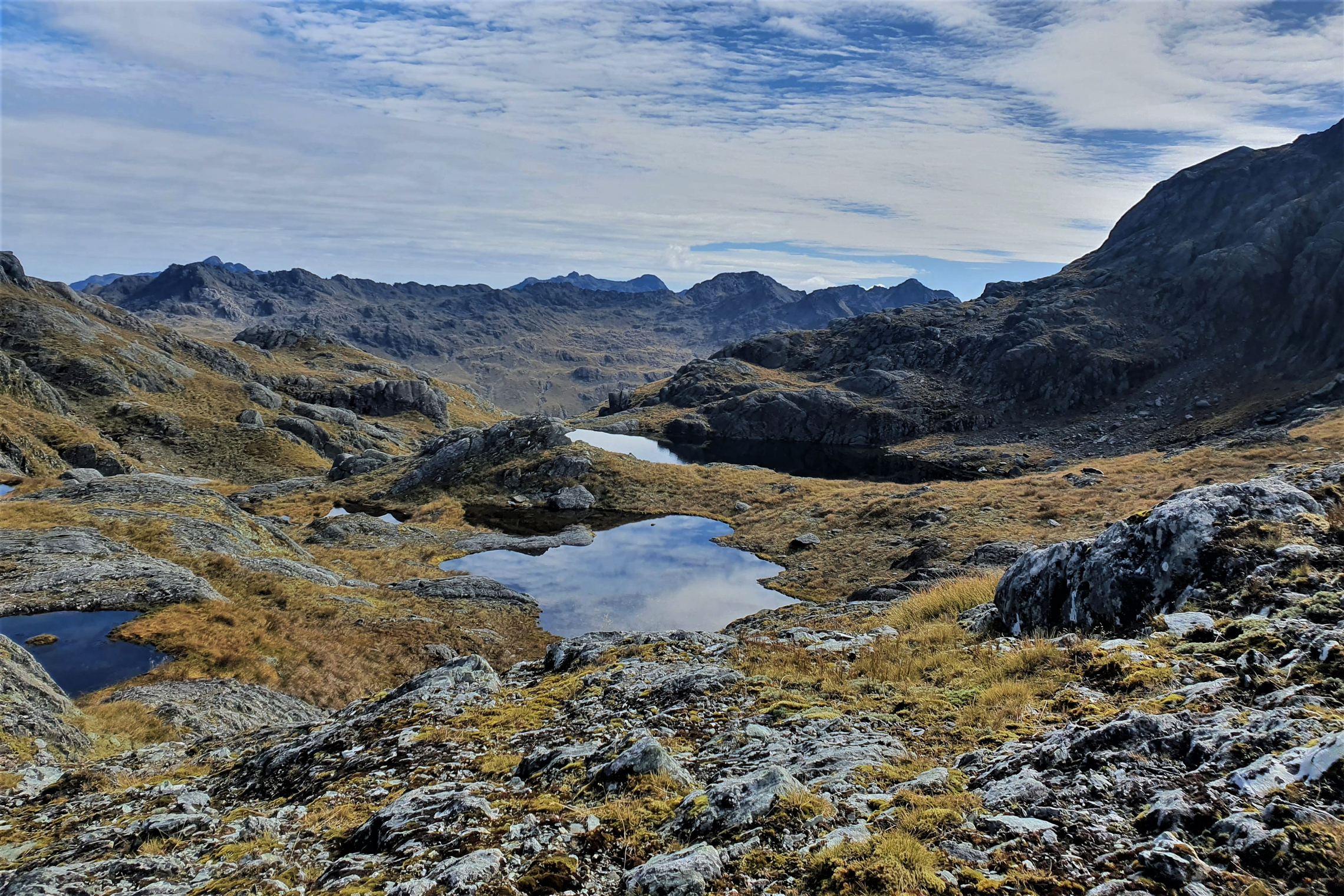 Alpine lakes on Fohn Saddle looking out to the west coast