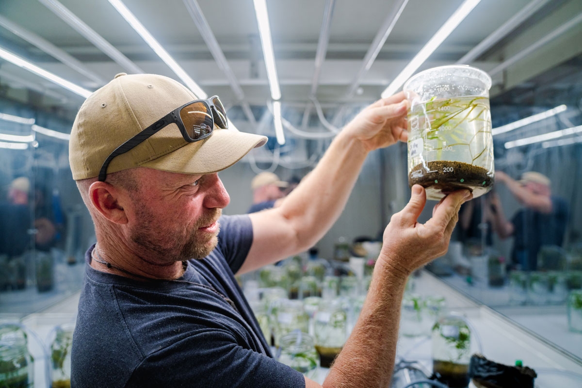 Biogeochemist, Ben Woodward, with a Potamogeton ochreatus experimental flask.