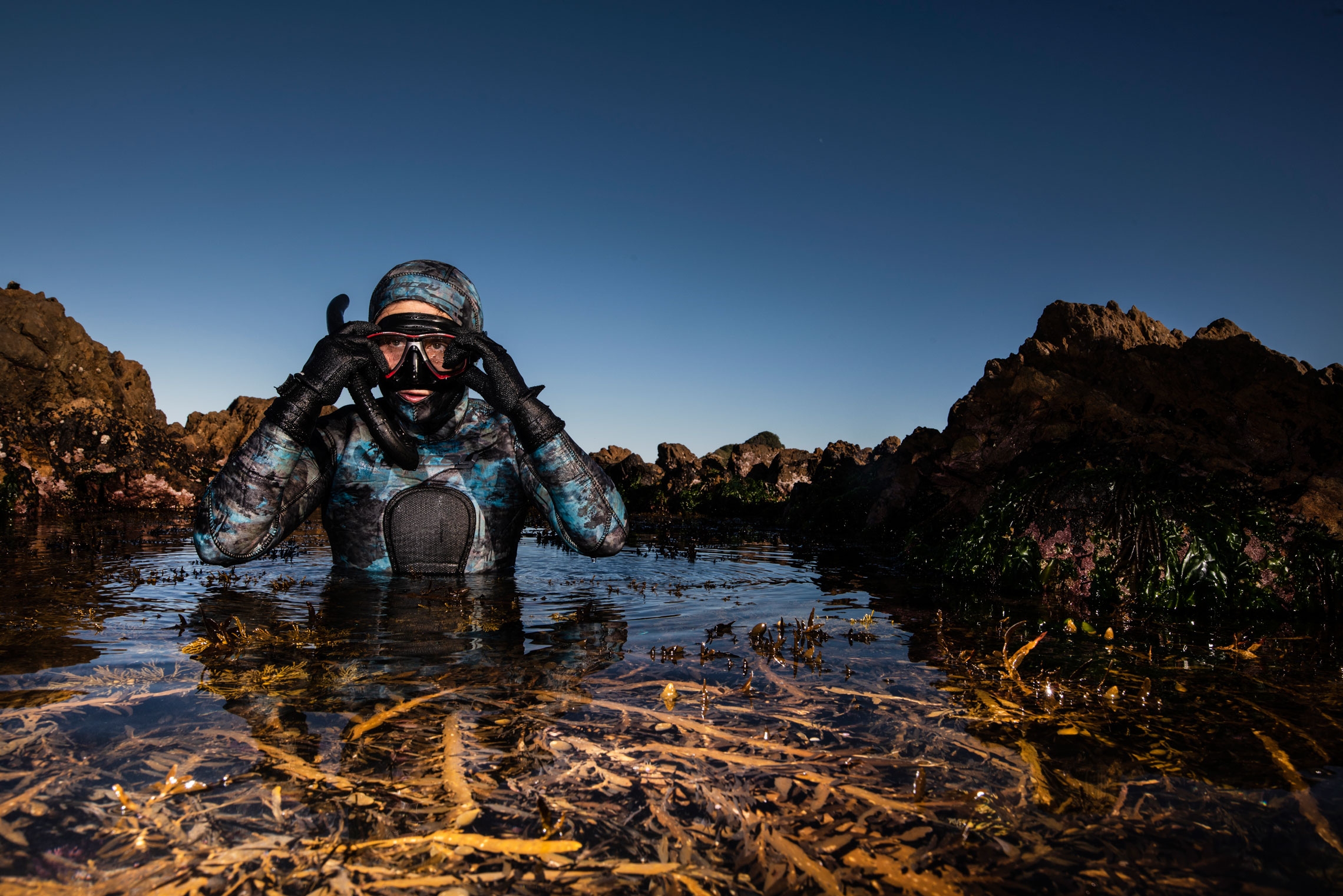 Dr Roberta D’Archino