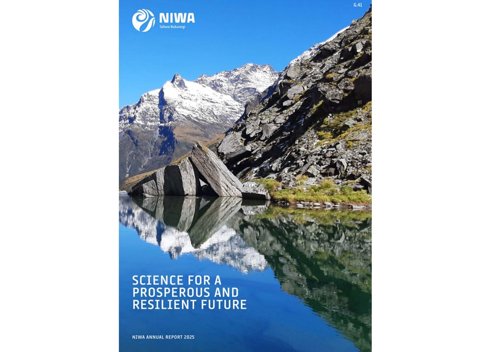 2025 Annual Report cover