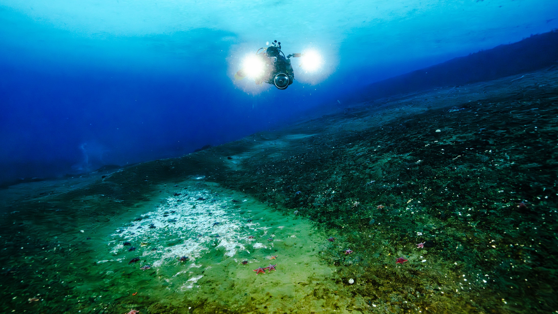 Divers surveying a methane seep at Cape Evans.