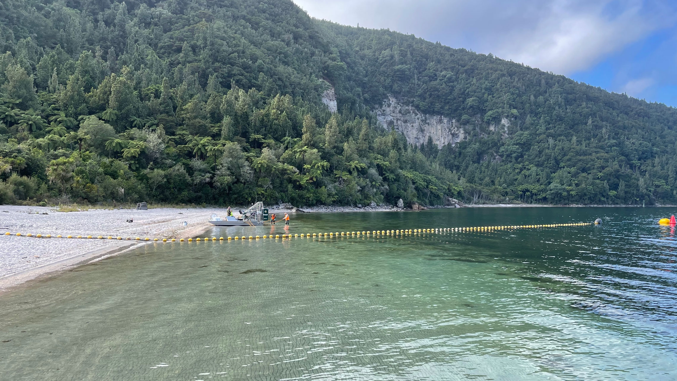 Endothall page banner