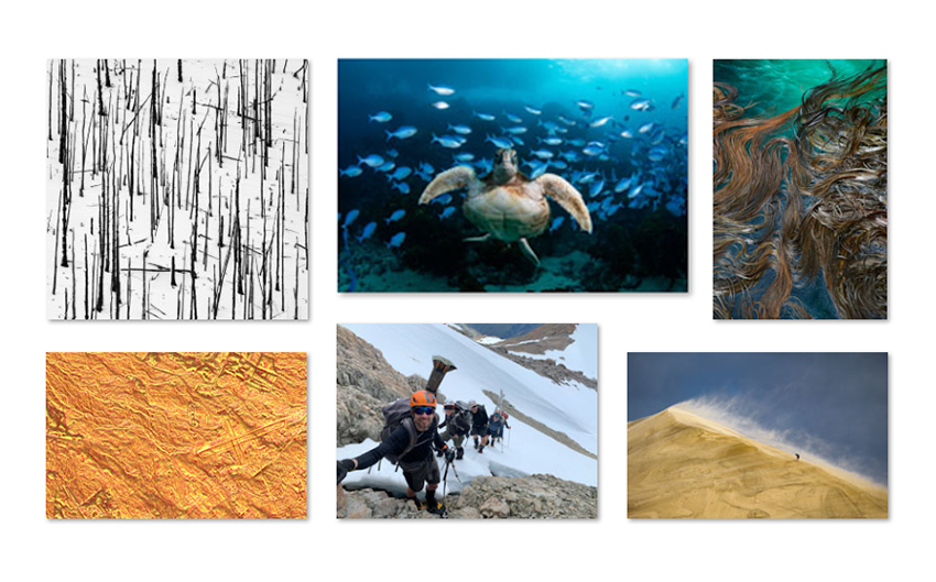 Photo competition 2025