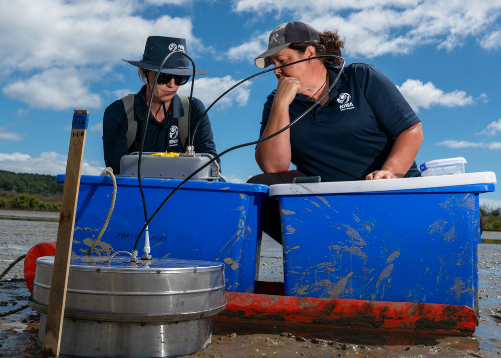 Emily Douglas and Sarah Hailes take gas measurements from the sediment in Waihi estuary.