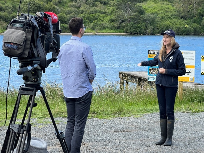 One News filmed an invasive gold clam story after seeing the media release and video. This will run over the Christmas break. 