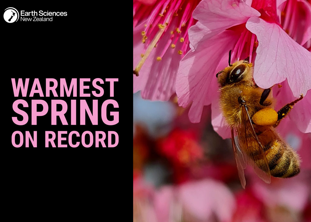 Spring 2025 Climate Summary tile