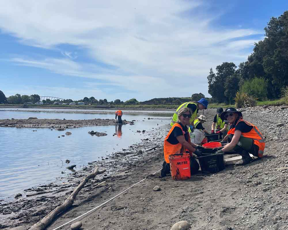 Earth Sciences NZ, Taranaki Regional Council and Blake Interns surveying clams
