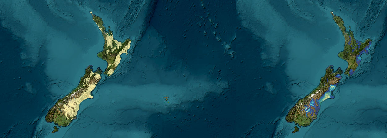 Te Toro app screengrab