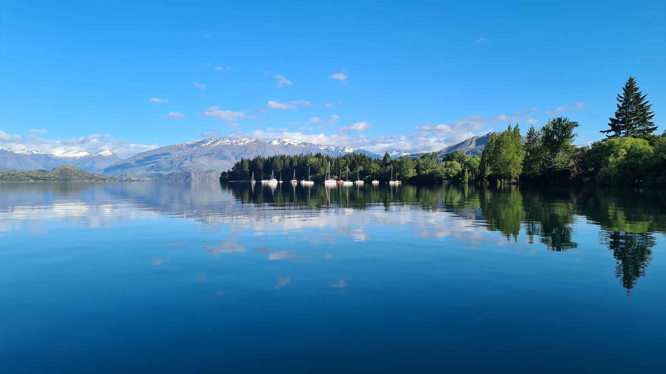 Wanaka banner image