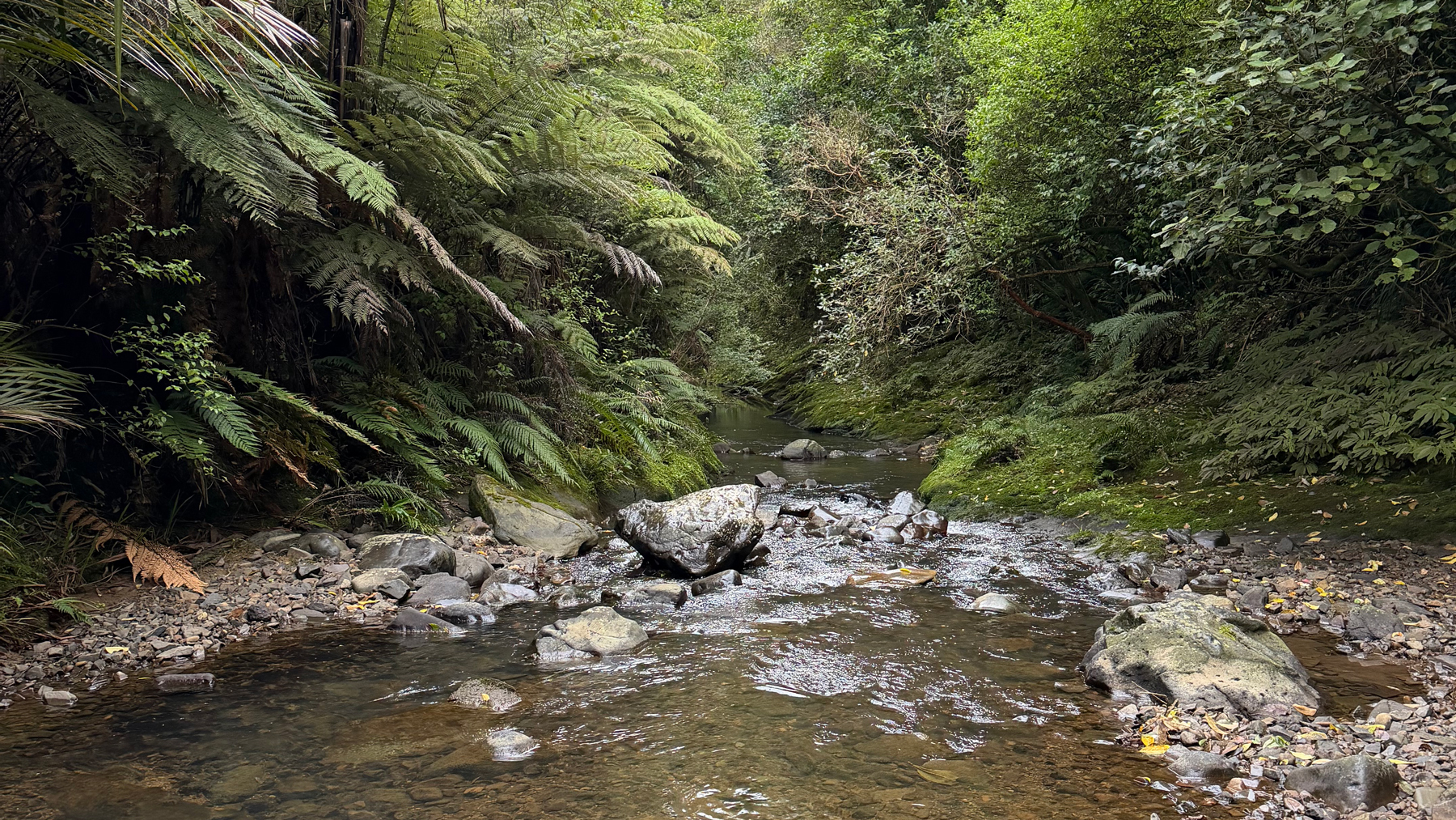 Stream