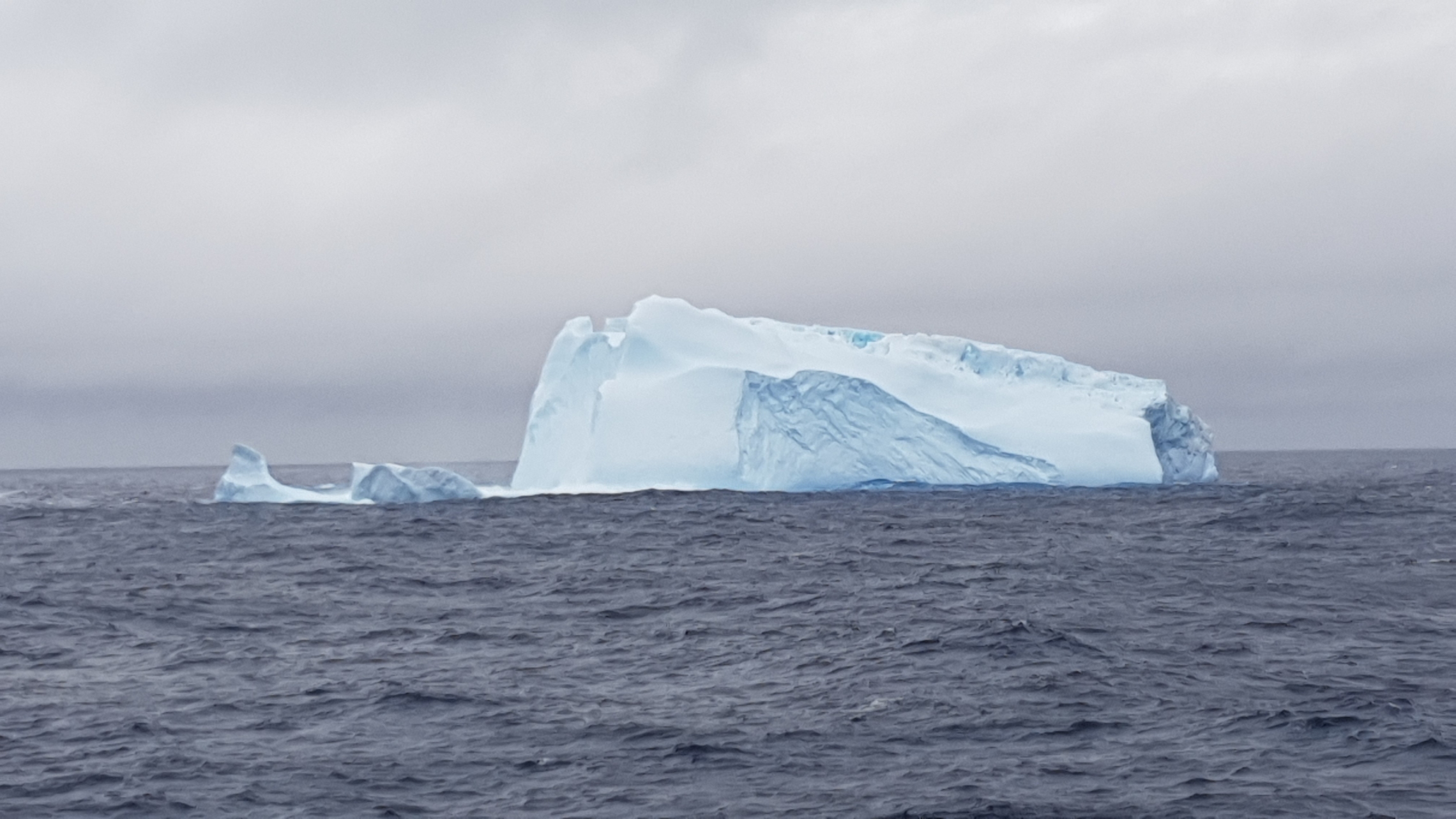 Iceberg.jpg | NIWA