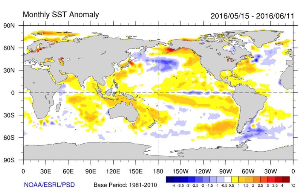 NOA_SST_Anom_May2016.JPG | NIWA