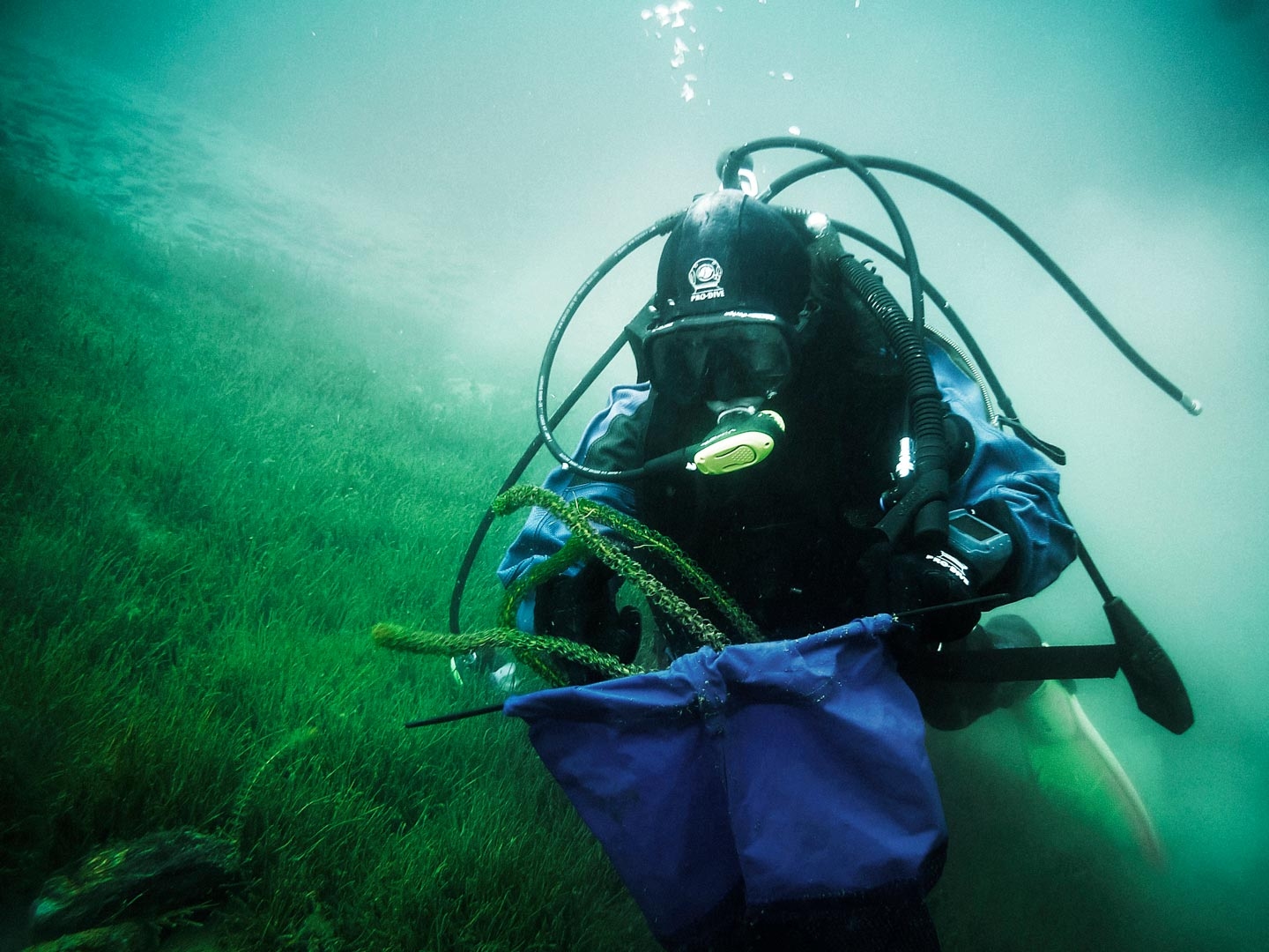 Hand Weeding Lake Wanaka