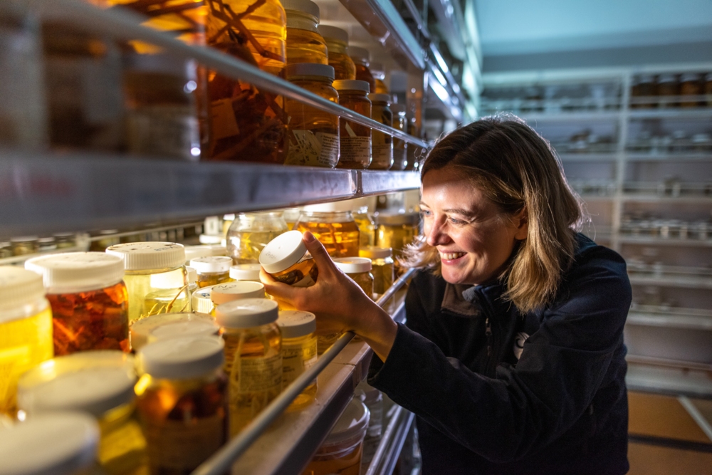 Sadie Mills in the NIC