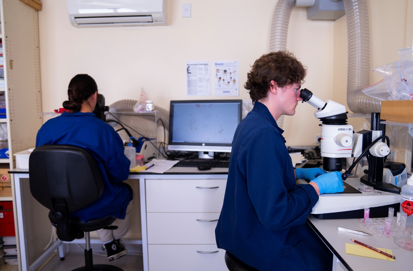 Specialist staff work tirelessly, sometimes with hundreds of specimens in one small jar