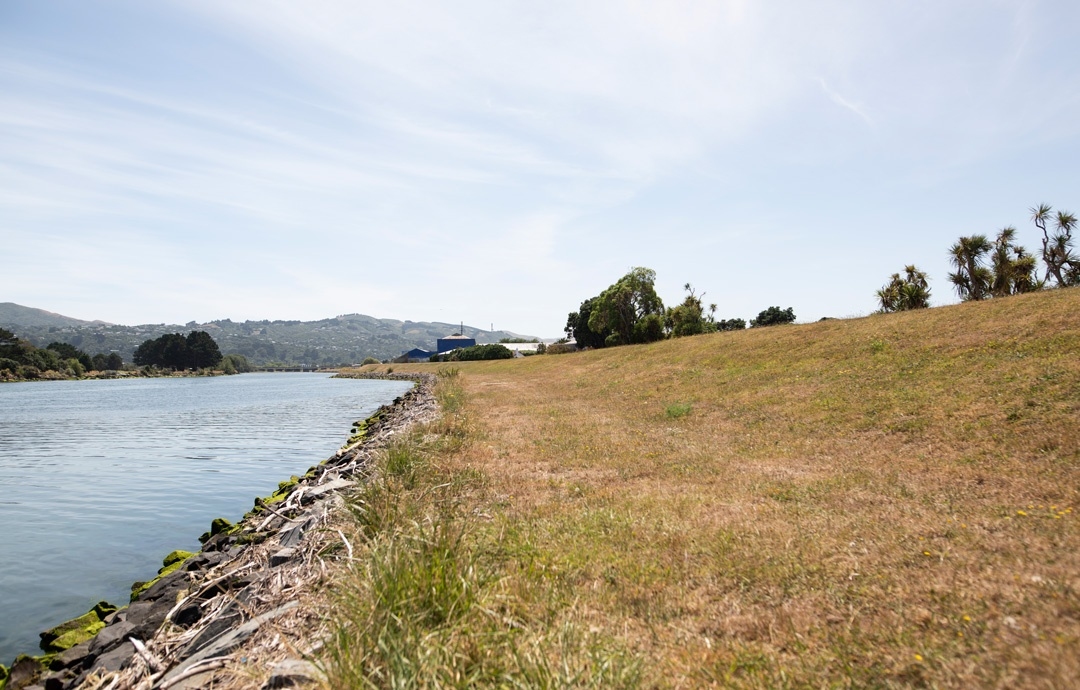 Hutt River Stopbank