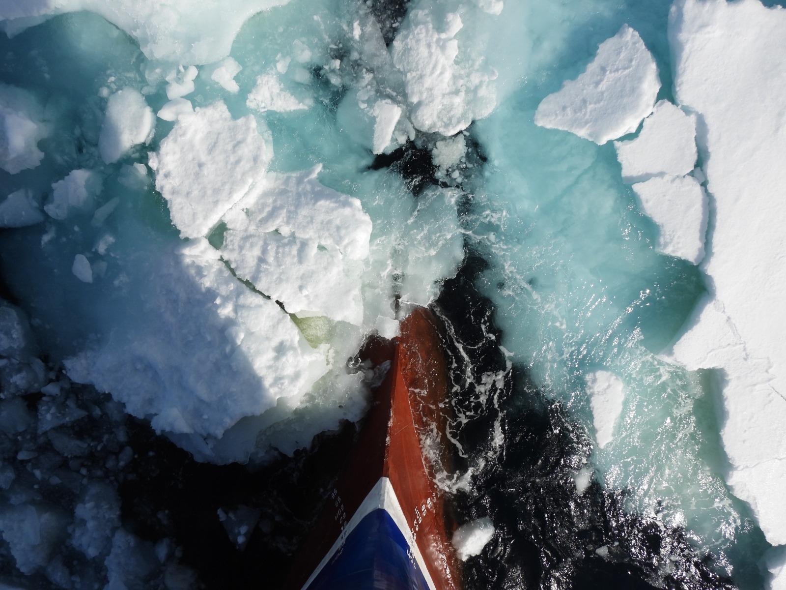 Tangaroa moves through the ice